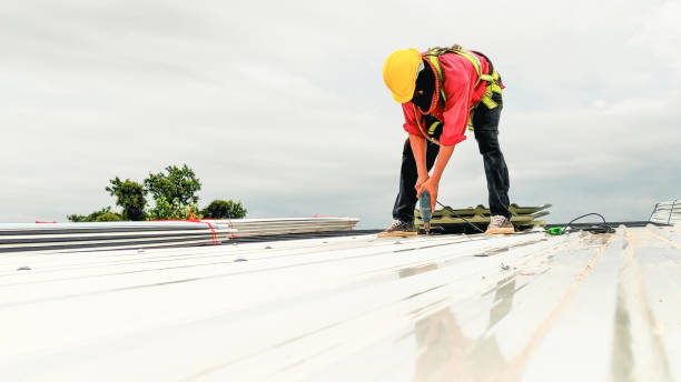Best Green or Eco-Friendly Roofing Solutions  in Brigham City, UT
