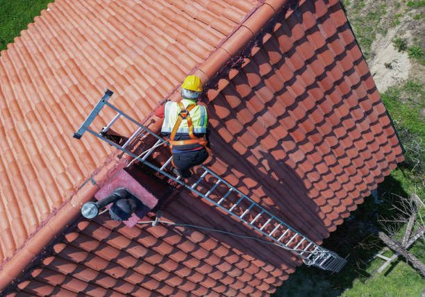 Best Wood Shake Roofing  in Brigham City, UT